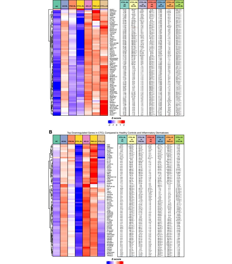 Figure 2 热图展示CTCL与对照组的差异表达基因